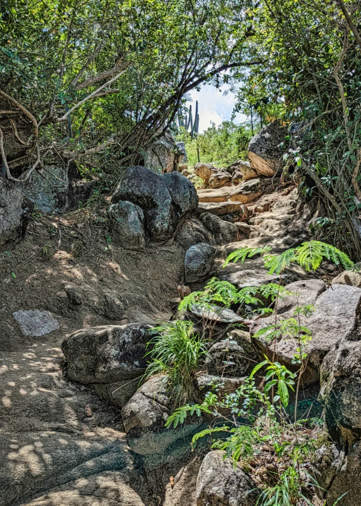 path to the baths at Virgin Gorda